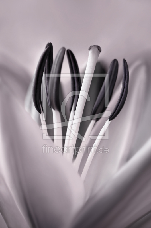 frei w&auml;hlbarer Bildausschnitt f&uuml;r Ihr Bild auf Tischdecke