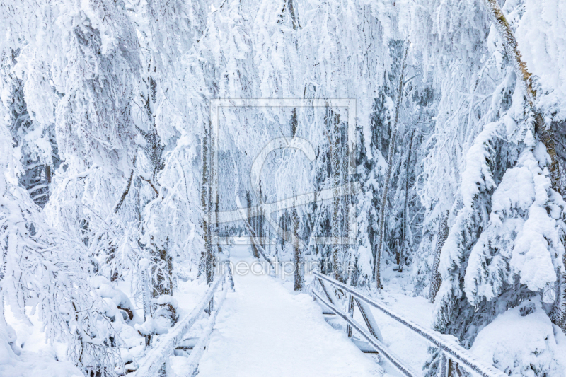 frei w&auml;hlbarer Bildausschnitt f&uuml;r Ihr Bild auf Tischdecke