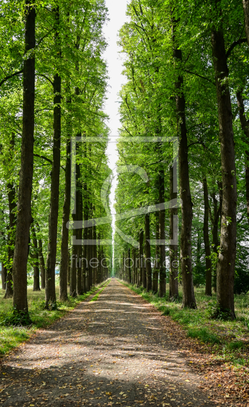 frei wählbarer Bildausschnitt für Ihr Bild auf Tischdecke