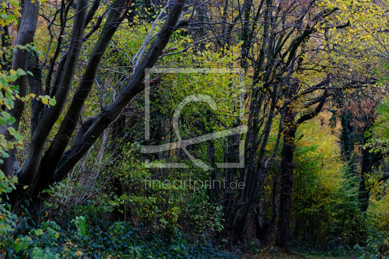 frei w&auml;hlbarer Bildausschnitt f&uuml;r Ihr Bild auf Tischdecke