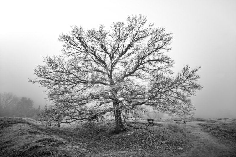 frei w&auml;hlbarer Bildausschnitt f&uuml;r Ihr Bild auf Tischdecke