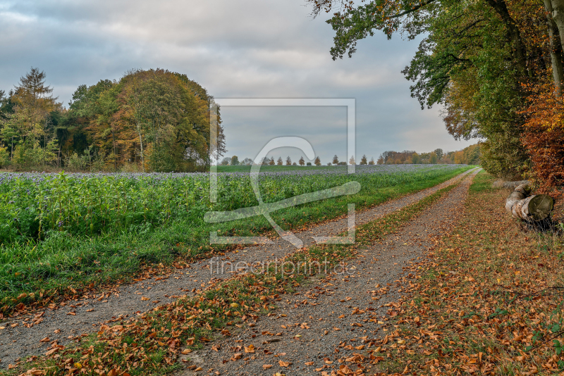 frei wählbarer Bildausschnitt für Ihr Bild auf Tischdecke