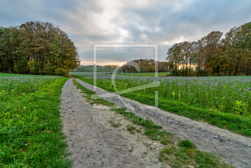 frei wählbarer Bildausschnitt für Ihr Bild auf Tischdecke
