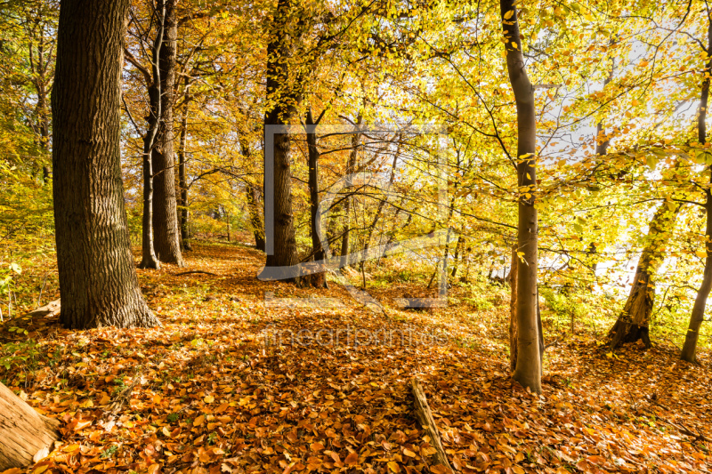 frei wählbarer Bildausschnitt für Ihr Bild auf Tischdecke