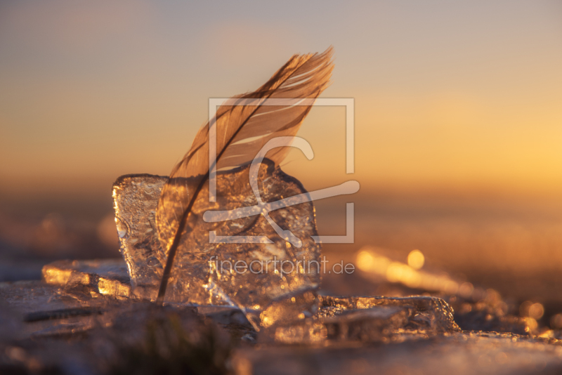 frei wählbarer Bildausschnitt für Ihr Bild auf Tischdecke