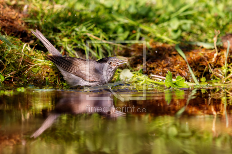 frei wählbarer Bildausschnitt für Ihr Bild auf Tischdecke