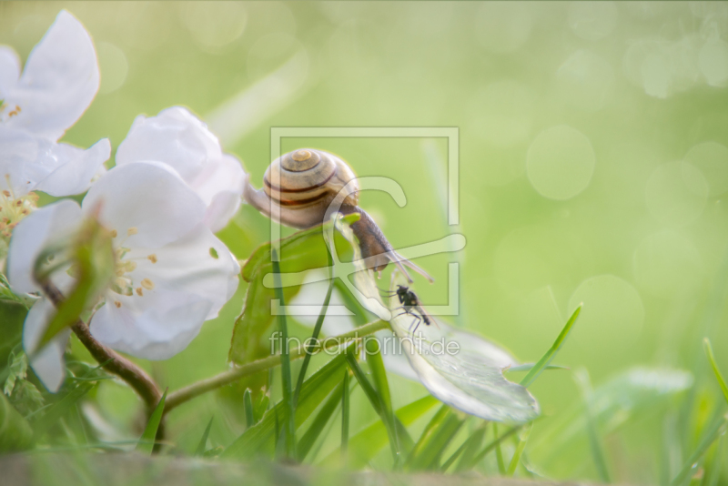 frei w&auml;hlbarer Bildausschnitt f&uuml;r Ihr Bild auf Tischdecke