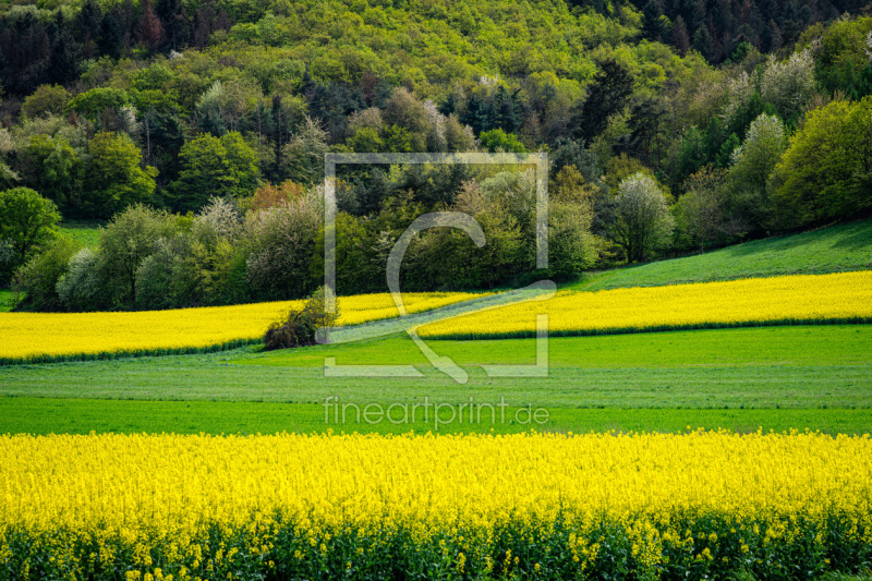 frei wählbarer Bildausschnitt für Ihr Bild auf Tischdecke