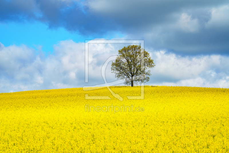 frei w&auml;hlbarer Bildausschnitt f&uuml;r Ihr Bild auf Tischdecke