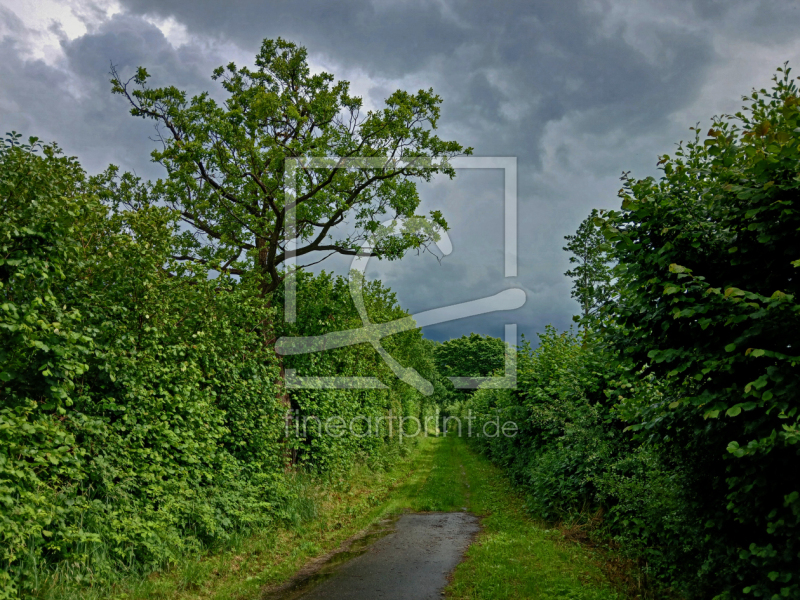 frei w&auml;hlbarer Bildausschnitt f&uuml;r Ihr Bild auf Tischdecke