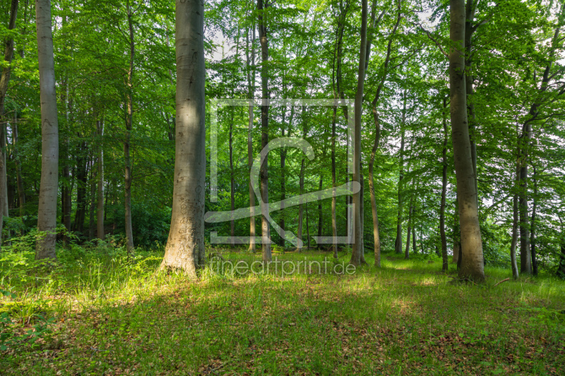 frei w&auml;hlbarer Bildausschnitt f&uuml;r Ihr Bild auf Tischdecke