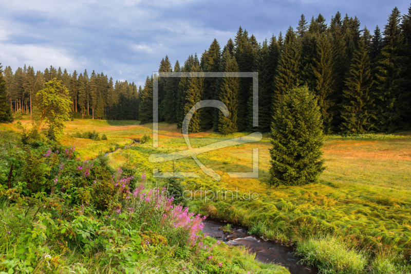 frei wählbarer Bildausschnitt für Ihr Bild auf Tischdecke
