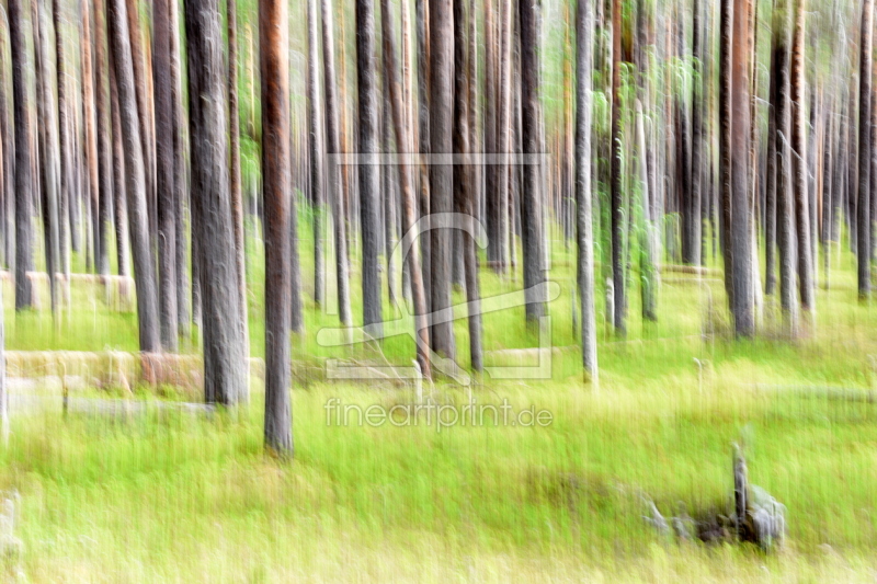frei wählbarer Bildausschnitt für Ihr Bild auf Tischdecke