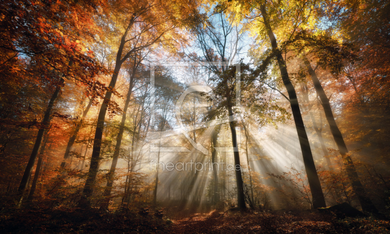 frei w&auml;hlbarer Bildausschnitt f&uuml;r Ihr Bild auf Tischdecke