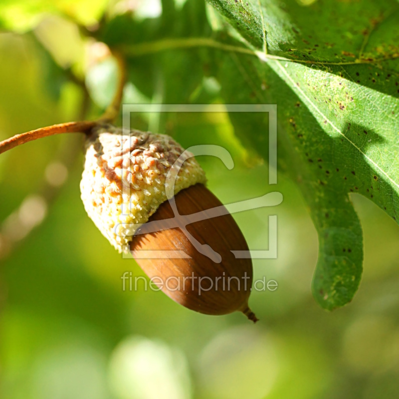 frei w&auml;hlbarer Bildausschnitt f&uuml;r Ihr Bild auf Tischdecke