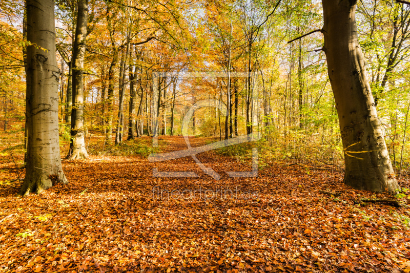 frei wählbarer Bildausschnitt für Ihr Bild auf Tischdecke