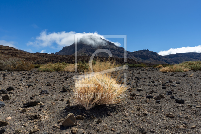 frei w&auml;hlbarer Bildausschnitt f&uuml;r Ihr Bild auf Tischdecke