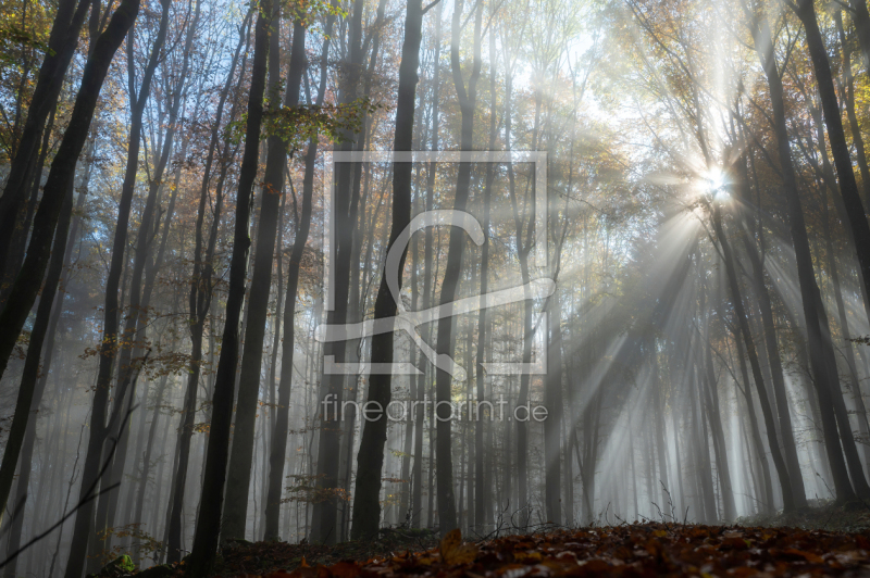 frei w&auml;hlbarer Bildausschnitt f&uuml;r Ihr Bild auf Tischdecke