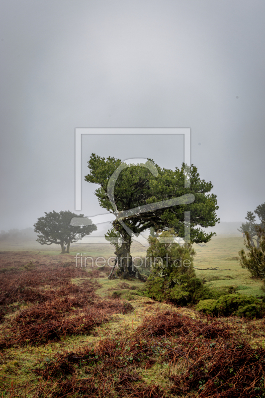 frei wählbarer Bildausschnitt für Ihr Bild auf Tischdecke