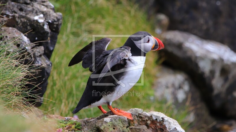frei wählbarer Bildausschnitt für Ihr Bild auf Tischdecke