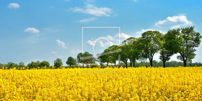 frei w&auml;hlbarer Bildausschnitt f&uuml;r Ihr Bild auf Tischdecke
