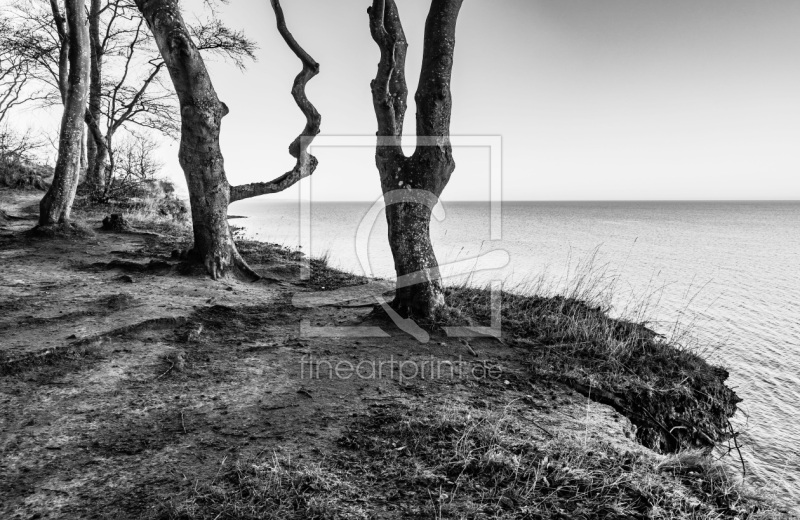 frei wählbarer Bildausschnitt für Ihr Bild auf Tischdecke