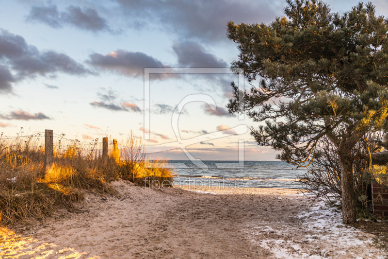 frei w&auml;hlbarer Bildausschnitt f&uuml;r Ihr Bild auf Tischdecke