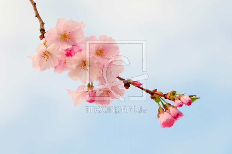 frei w&auml;hlbarer Bildausschnitt f&uuml;r Ihr Bild auf Tischdecke