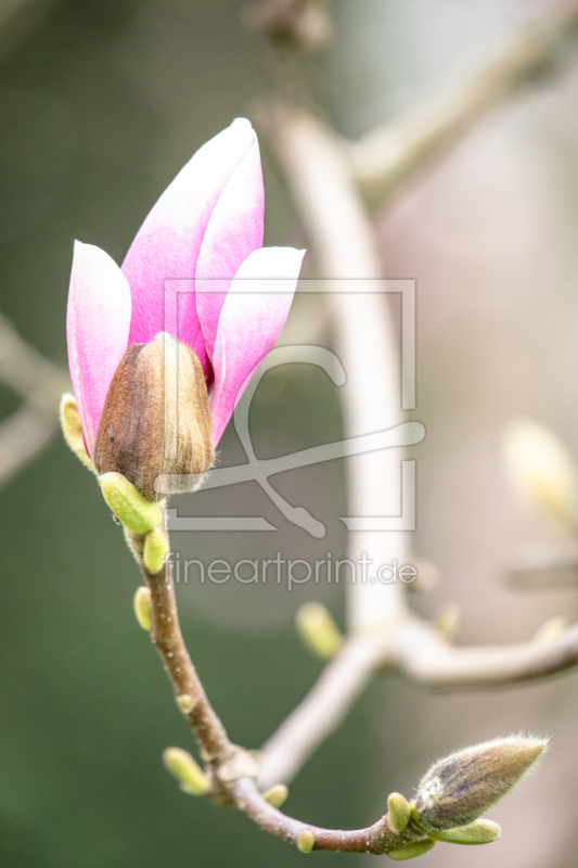 frei w&auml;hlbarer Bildausschnitt f&uuml;r Ihr Bild auf Tischdecke