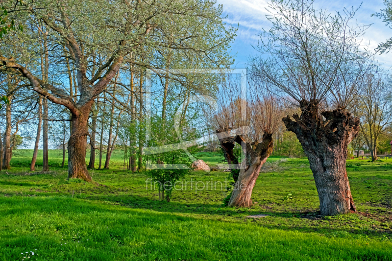 frei w&auml;hlbarer Bildausschnitt f&uuml;r Ihr Bild auf Tischdecke