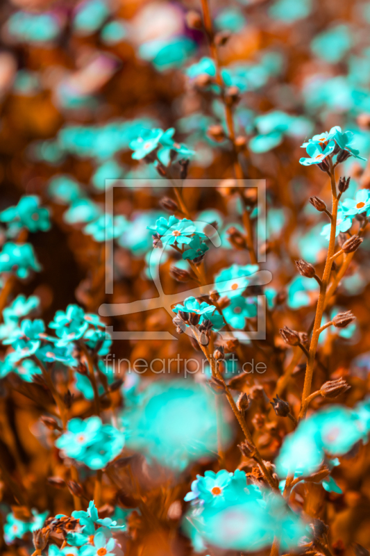 frei w&auml;hlbarer Bildausschnitt f&uuml;r Ihr Bild auf Tischdecke