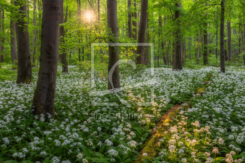frei wählbarer Bildausschnitt für Ihr Bild auf Tischdecke