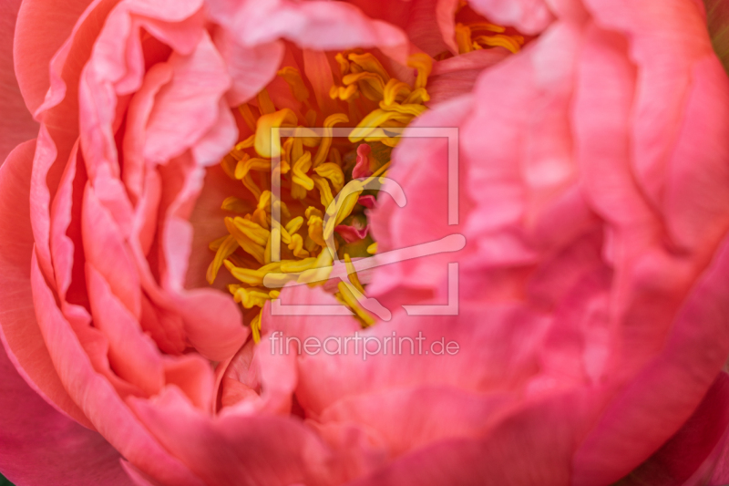 frei w&auml;hlbarer Bildausschnitt f&uuml;r Ihr Bild auf Tischdecke