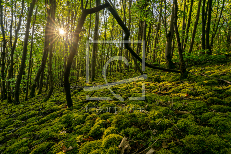 frei w&auml;hlbarer Bildausschnitt f&uuml;r Ihr Bild auf Tischdecke