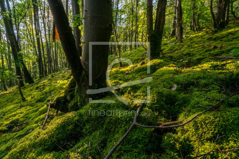 frei w&auml;hlbarer Bildausschnitt f&uuml;r Ihr Bild auf Tischdecke