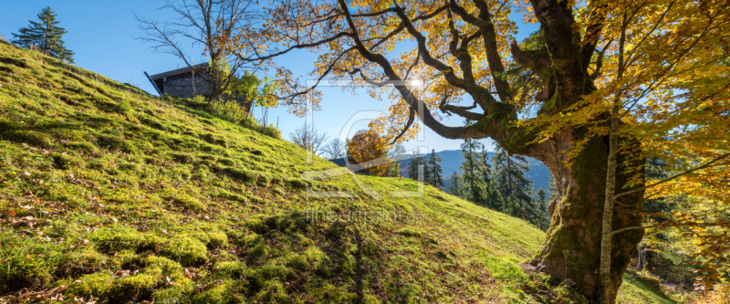 frei wählbarer Bildausschnitt für Ihr Bild auf Tischdecke