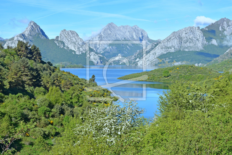 frei wählbarer Bildausschnitt für Ihr Bild auf Tischdecke
