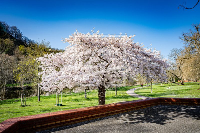 frei w&auml;hlbarer Bildausschnitt f&uuml;r Ihr Bild auf Tischdecke