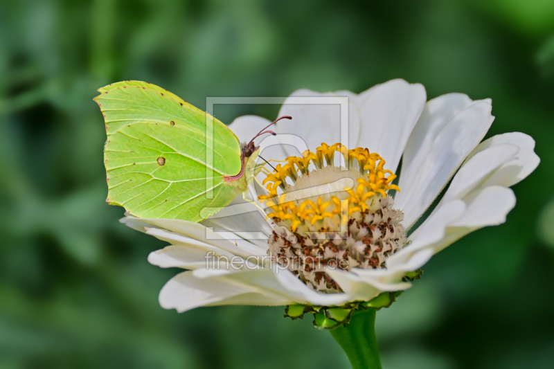 frei w&auml;hlbarer Bildausschnitt f&uuml;r Ihr Bild auf Tischdecke