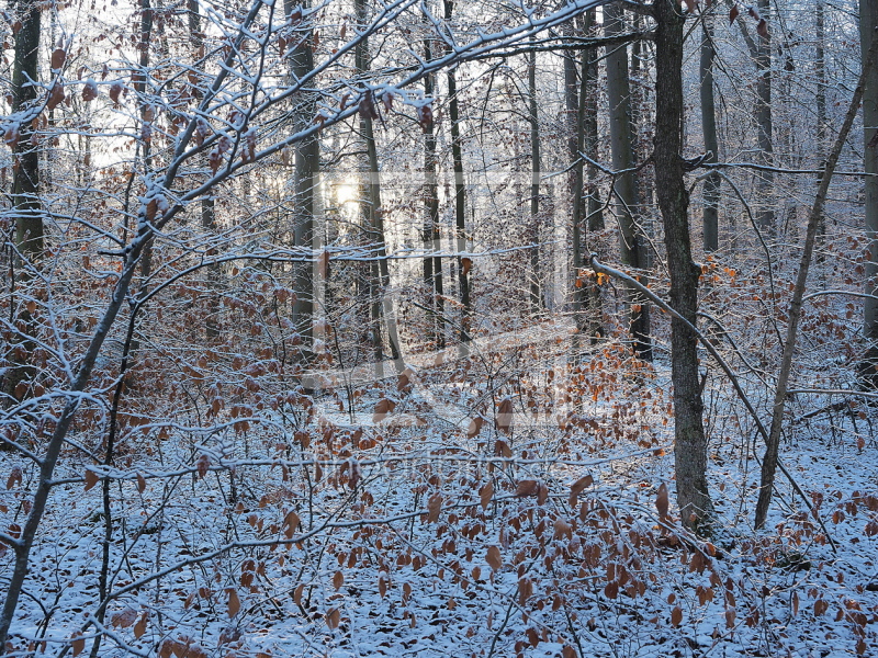 frei wählbarer Bildausschnitt für Ihr Bild auf Tischdecke