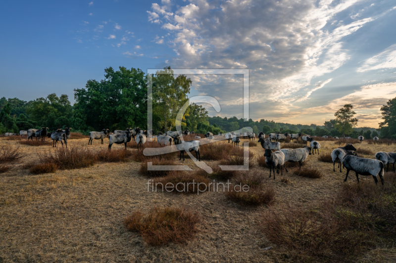 frei wählbarer Bildausschnitt für Ihr Bild auf Tischdecke