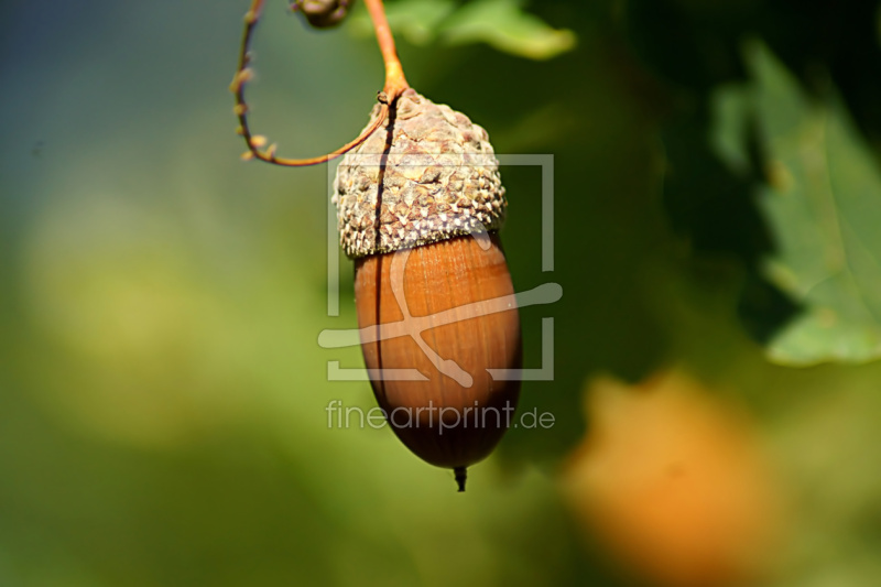 frei w&auml;hlbarer Bildausschnitt f&uuml;r Ihr Bild auf Tischdecke