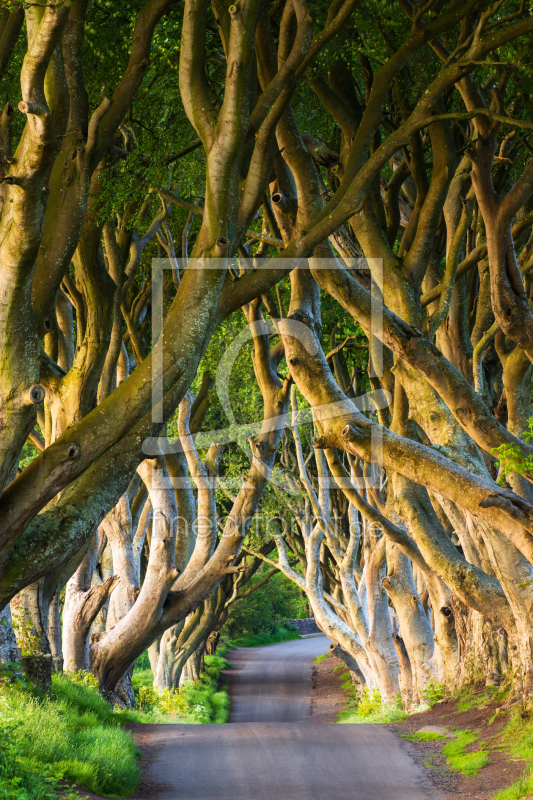 frei w&auml;hlbarer Bildausschnitt f&uuml;r Ihr Bild auf Tischdecke