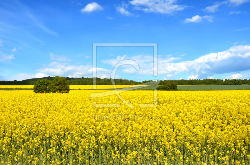 frei w&auml;hlbarer Bildausschnitt f&uuml;r Ihr Bild auf Tischdecke