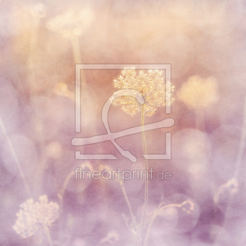 frei wählbarer Bildausschnitt für Ihr Bild auf Tischdecke