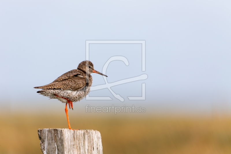 frei wählbarer Bildausschnitt für Ihr Bild auf Tischdecke