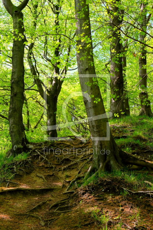 frei wählbarer Bildausschnitt für Ihr Bild auf Tischdecke