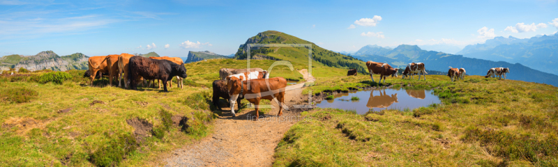 frei wählbarer Bildausschnitt für Ihr Bild auf Tischdecke