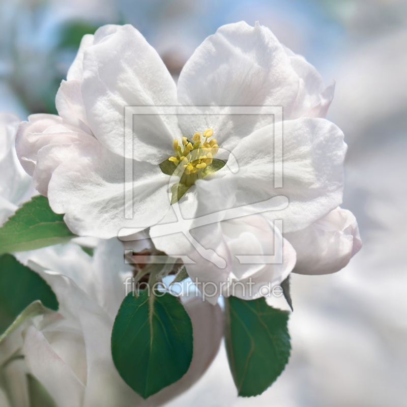 frei wählbarer Bildausschnitt für Ihr Bild auf Tischdecke