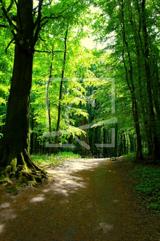 frei wählbarer Bildausschnitt für Ihr Bild auf Tischdecke